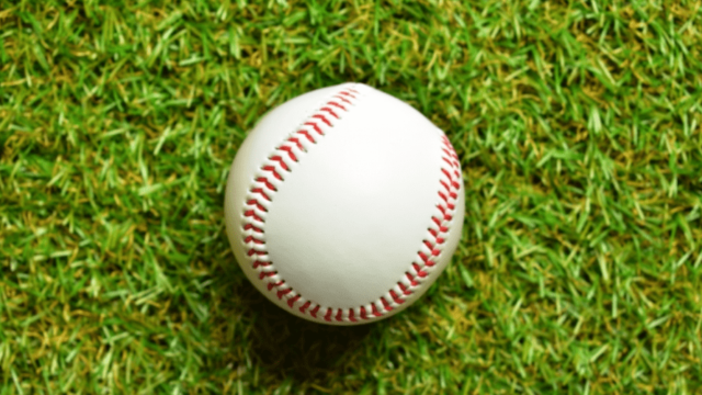 プロ野球のセリーグとパリーグの球団の違いは 投手 Dhや順位のルールについて いろイロmemo